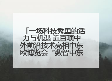 一场科技秀里的活力与机遇 近百项中外前沿技术亮相中东欧博览会“数智中东欧”板块