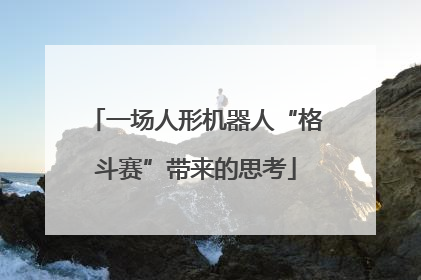 一场人形机器人“格斗赛”带来的思考