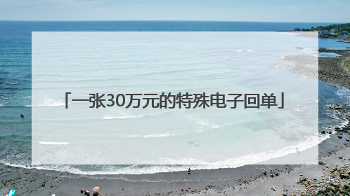 一张30万元的特殊电子回单
