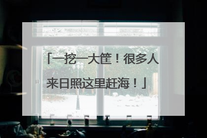 一挖一大筐！很多人来日照这里赶海！