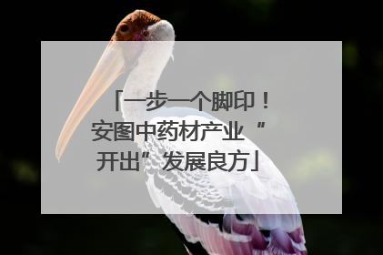 一步一个脚印！安图中药材产业“开出”发展良方