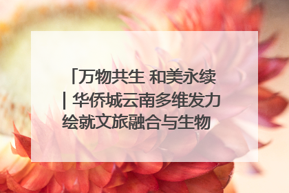 万物共生 和美永续｜华侨城云南多维发力 绘就文旅融合与生物多样性保护新图景