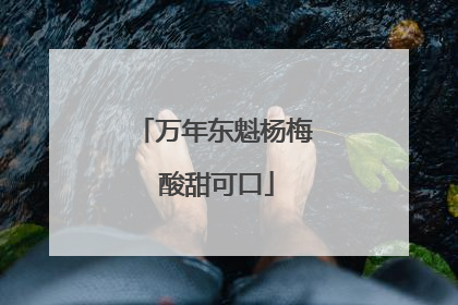 万年东魁杨梅 酸甜可口