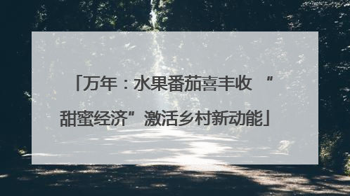 万年：水果番茄喜丰收 “甜蜜经济”激活乡村新动能