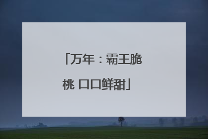 万年：霸王脆桃 口口鲜甜