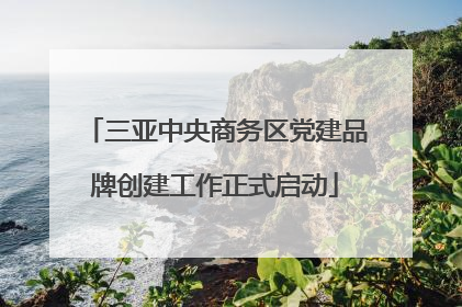 三亚中央商务区党建品牌创建工作正式启动