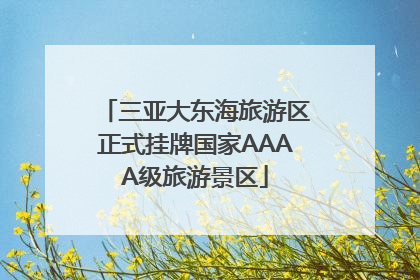 三亚大东海旅游区正式挂牌国家AAAA级旅游景区