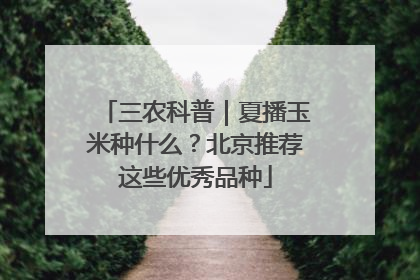 三农科普｜夏播玉米种什么？北京推荐这些优秀品种