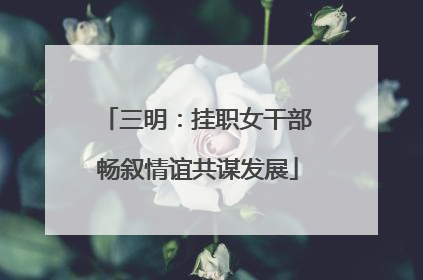 三明：挂职女干部畅叙情谊共谋发展