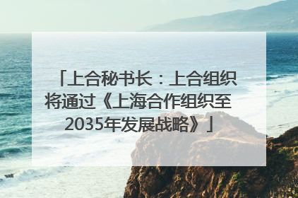 上合秘书长：上合组织将通过《上海合作组织至2035年发展战略》