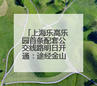 上海乐高乐园首条配套公交线路明日开通：途经金山北站，票价1元