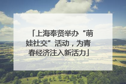 上海奉贤举办“萌娃社交”活动，为青春经济注入新活力