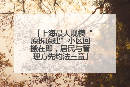 上海最大规模“原拆原建”小区回搬在即，居民与管理方先约法三章