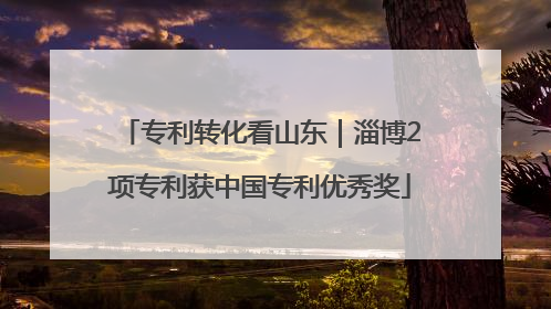 专利转化看山东｜淄博2项专利获中国专利优秀奖