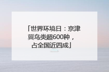 世界环境日：京津冀鸟类超600种，占全国近四成