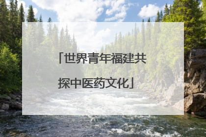 世界青年福建共探中医药文化
