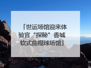 世运场馆迎来体验官“探秘”香城软式曲棍球场馆