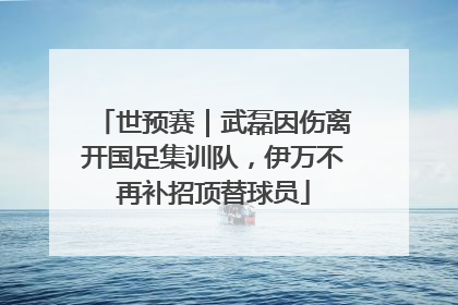世预赛｜武磊因伤离开国足集训队，伊万不再补招顶替球员