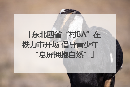 东北四省“村BA”在铁力市开场 倡导青少年“息屏拥抱自然”