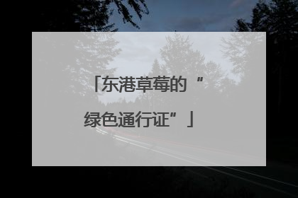 东港草莓的“绿色通行证”