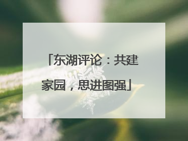 东湖评论：共建家园，思进图强