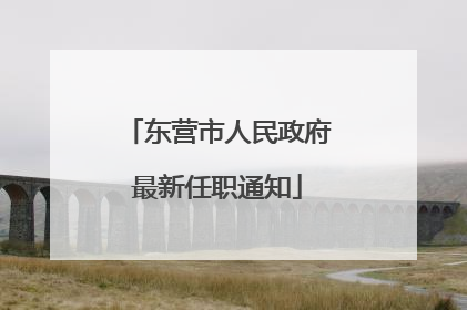 东营市人民政府最新任职通知