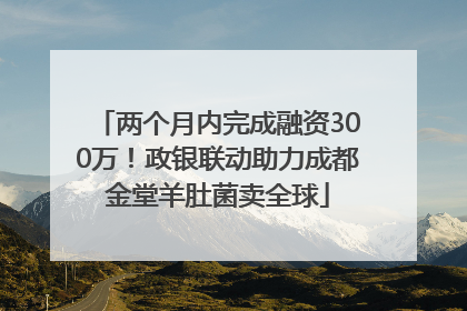 两个月内完成融资300万！政银联动助力成都金堂羊肚菌卖全球