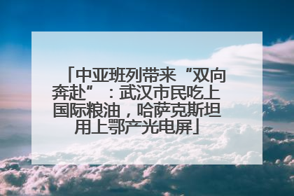 中亚班列带来“双向奔赴”：武汉市民吃上国际粮油，哈萨克斯坦用上鄂产光电屏
