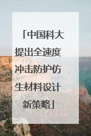 中国科大提出全速度冲击防护仿生材料设计新策略