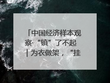 中国经济样本观察·“镇”了不起｜为衣做架，“挂”出来的80亿元“衣架产业”