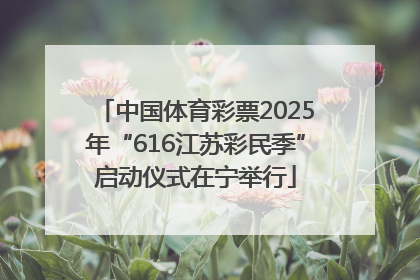 中国体育彩票2025年“616江苏彩民季”启动仪式在宁举行