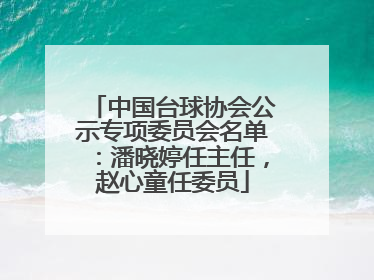 中国台球协会公示专项委员会名单：潘晓婷任主任，赵心童任委员