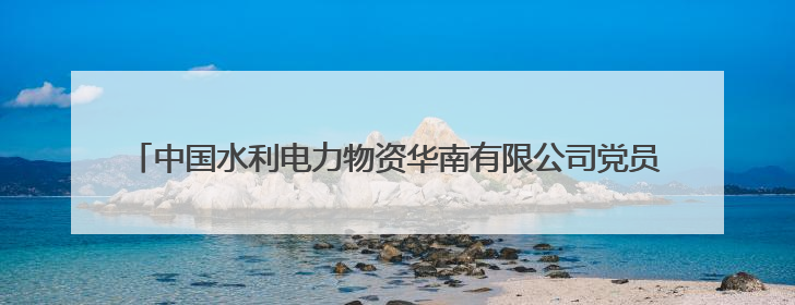 中国水利电力物资华南有限公司党员突击队勇当新能源市场开拓排头兵