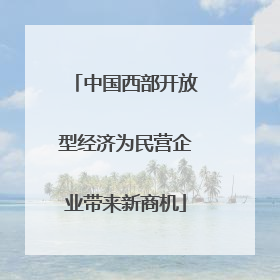 中国西部开放型经济为民营企业带来新商机