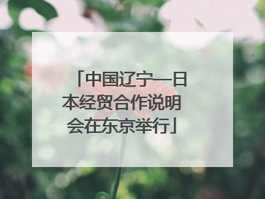 中国辽宁—日本经贸合作说明会在东京举行