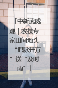 中新武威观｜农技专家田间地头“把脉开方”送“及时雨”