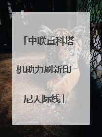 中联重科塔机助力刷新印尼天际线