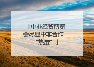 中非经贸博览会尽显中非合作“热度”