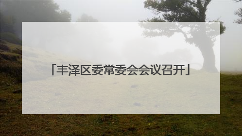 丰泽区委常委会会议召开