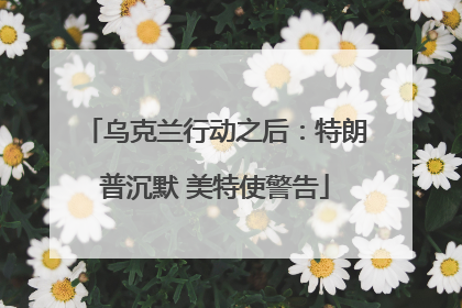 乌克兰行动之后：特朗普沉默 美特使警告