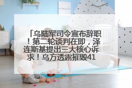 乌陆军司令宣布辞职！第二轮谈判在即，泽连斯基提出三大核心诉求！乌方透露摧毁41架俄战略轰炸机