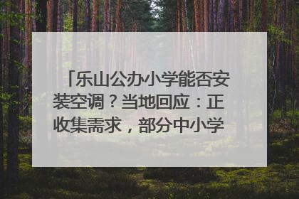 乐山公办小学能否安装空调？当地回应：正收集需求，部分中小学已启动安装｜云求助