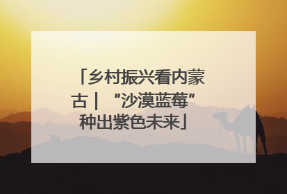 乡村振兴看内蒙古｜“沙漠蓝莓”种出紫色未来
