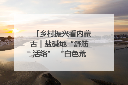 乡村振兴看内蒙古｜盐碱地“舒筋活络” “白色荒漠”长出吨粮田