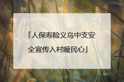 人保寿险义乌中支安全宣传入村暖民心