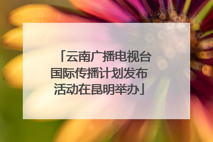 云南广播电视台国际传播计划发布活动在昆明举办