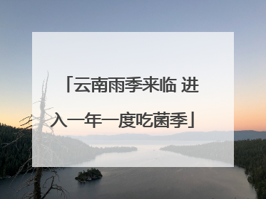 云南雨季来临 进入一年一度吃菌季