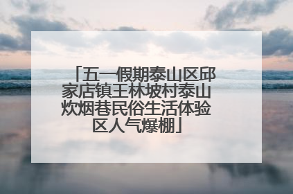 五一假期泰山区邱家店镇王林坡村泰山炊烟巷民俗生活体验区人气爆棚