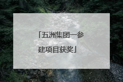 五洲集团一参建项目获奖