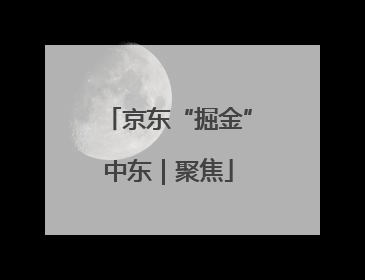 京东“掘金”中东｜聚焦
